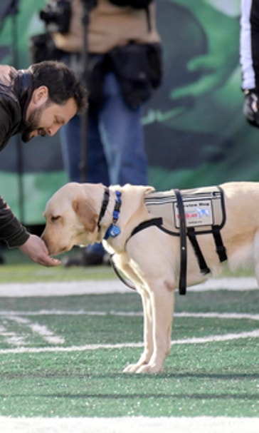 Army veteran and man's best friend unite at NFL game